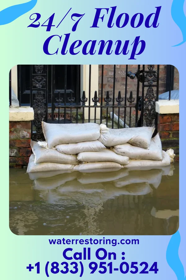 24/7 Flood Cleanup in Ellenton, GA